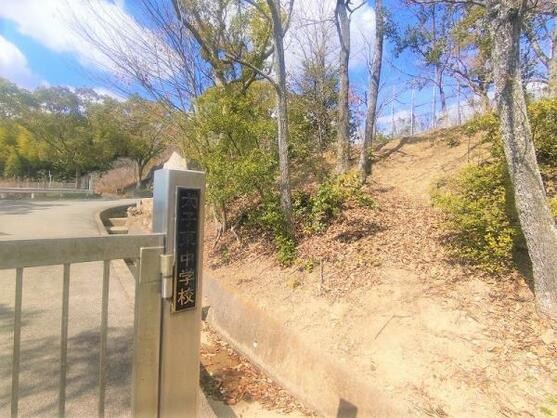 CREATOR: gd-jpeg v1.0 (using IJG JPEG v62), default quality