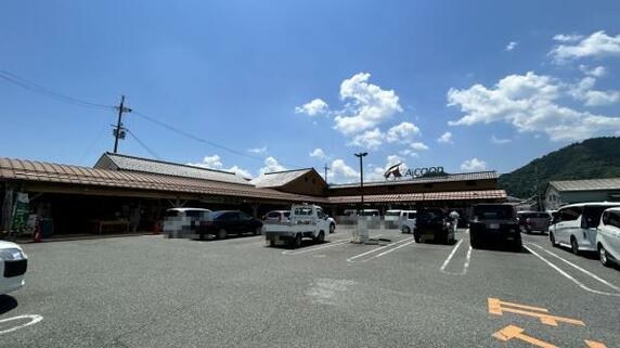 CREATOR: gd-jpeg v1.0 (using IJG JPEG v62), default quality