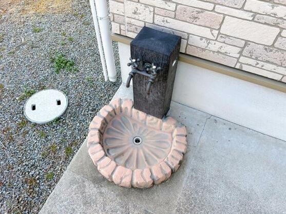 CREATOR: gd-jpeg v1.0 (using IJG JPEG v62), default quality