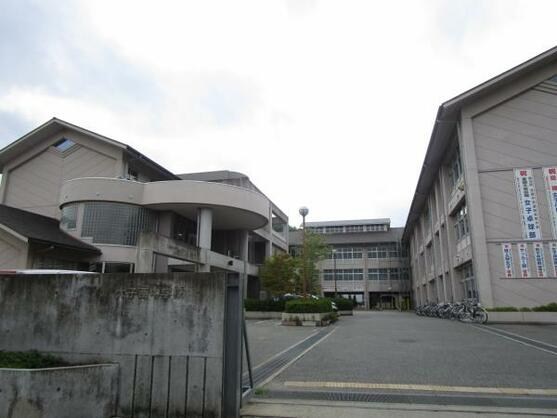 CREATOR: gd-jpeg v1.0 (using IJG JPEG v62), default quality