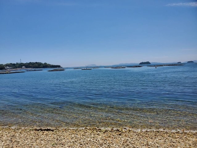 CREATOR: gd-jpeg v1.0 (using IJG JPEG v62), quality = 85