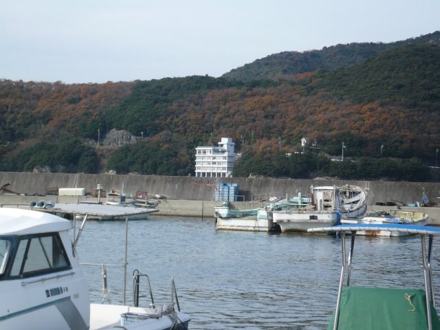 CREATOR: gd-jpeg v1.0 (using IJG JPEG v62), quality = 85