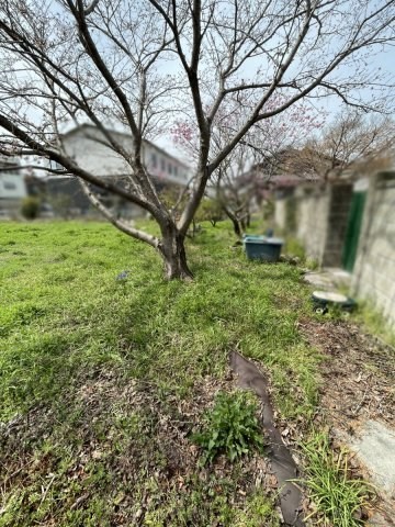 CREATOR: gd-jpeg v1.0 (using IJG JPEG v62), quality = 85