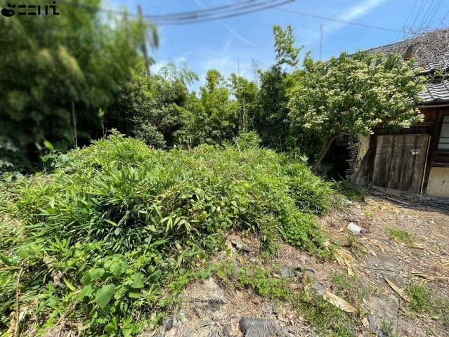 CREATOR: gd-jpeg v1.0 (using IJG JPEG v62), quality = 85