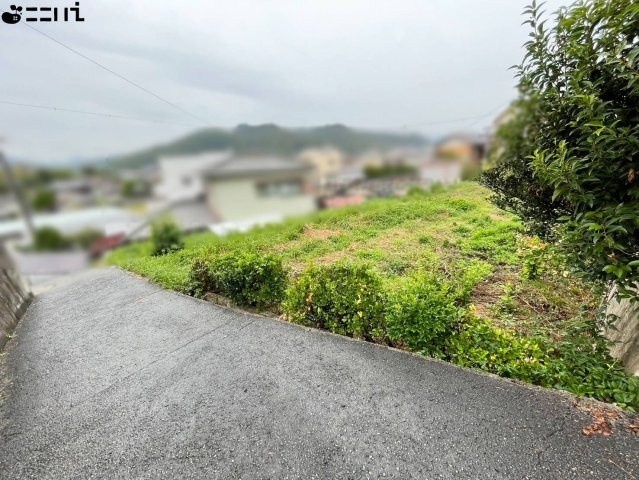 CREATOR: gd-jpeg v1.0 (using IJG JPEG v62), quality = 85