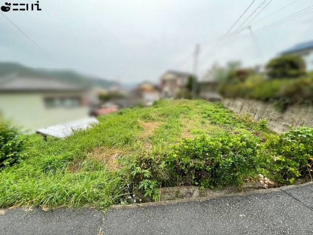 CREATOR: gd-jpeg v1.0 (using IJG JPEG v62), quality = 85