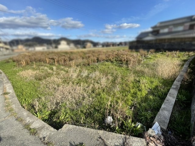 CREATOR: gd-jpeg v1.0 (using IJG JPEG v62), quality = 85