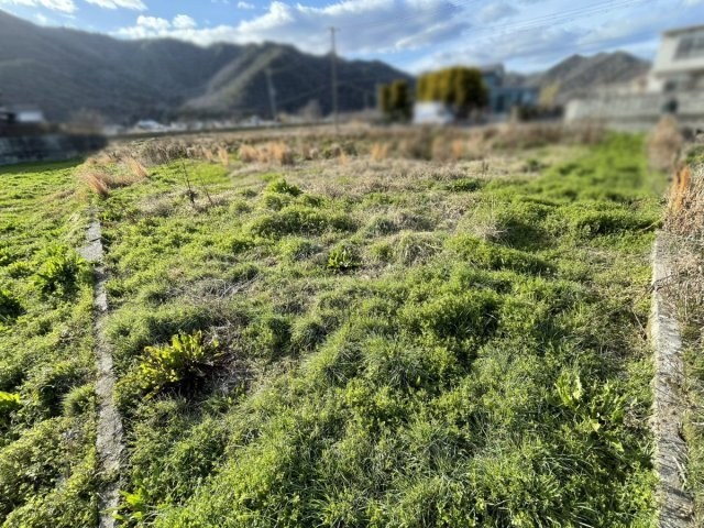 CREATOR: gd-jpeg v1.0 (using IJG JPEG v62), quality = 85