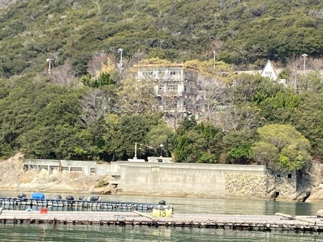 CREATOR: gd-jpeg v1.0 (using IJG JPEG v62), quality = 85