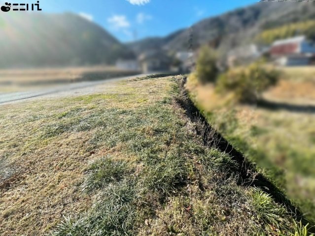 CREATOR: gd-jpeg v1.0 (using IJG JPEG v62), quality = 85