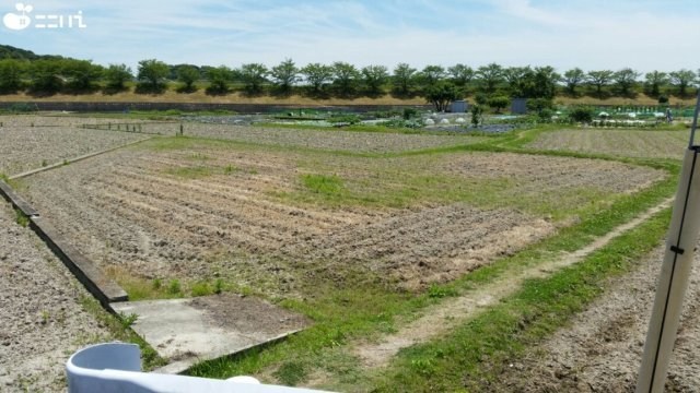 CREATOR: gd-jpeg v1.0 (using IJG JPEG v62), quality = 85