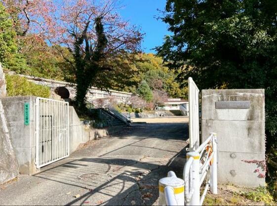 CREATOR: gd-jpeg v1.0 (using IJG JPEG v62), default quality