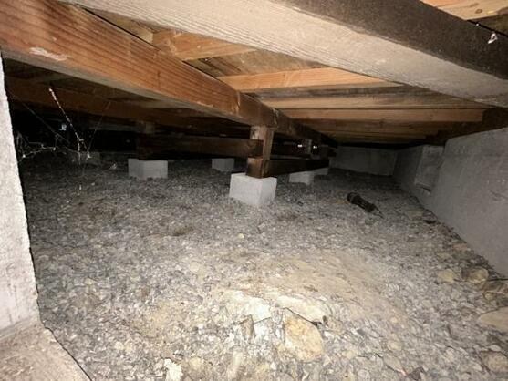 CREATOR: gd-jpeg v1.0 (using IJG JPEG v62), default quality