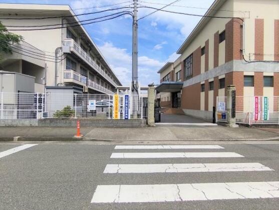 CREATOR: gd-jpeg v1.0 (using IJG JPEG v62), default quality