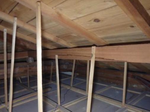 CREATOR: gd-jpeg v1.0 (using IJG JPEG v62), default quality