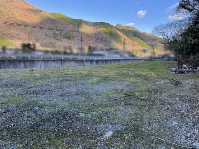 CREATOR: gd-jpeg v1.0 (using IJG JPEG v62), quality = 85