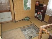 CREATOR: gd-jpeg v1.0 (using IJG JPEG v62), quality = 85