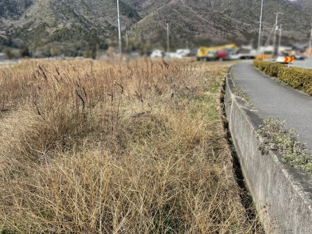 CREATOR: gd-jpeg v1.0 (using IJG JPEG v62), quality = 85