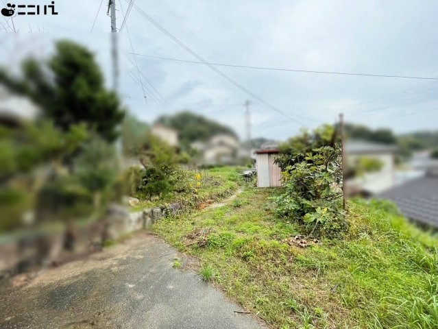 CREATOR: gd-jpeg v1.0 (using IJG JPEG v62), quality = 85