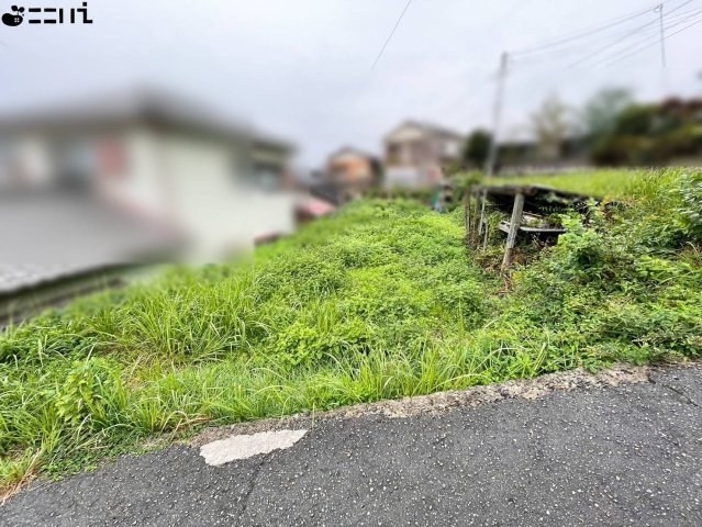 CREATOR: gd-jpeg v1.0 (using IJG JPEG v62), quality = 85