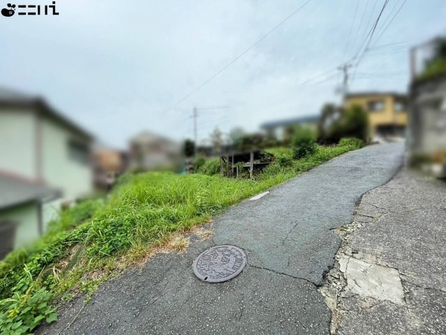 CREATOR: gd-jpeg v1.0 (using IJG JPEG v62), quality = 85