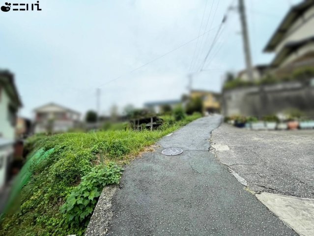 CREATOR: gd-jpeg v1.0 (using IJG JPEG v62), quality = 85