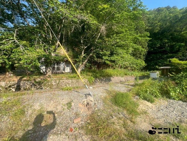 CREATOR: gd-jpeg v1.0 (using IJG JPEG v62), quality = 85
